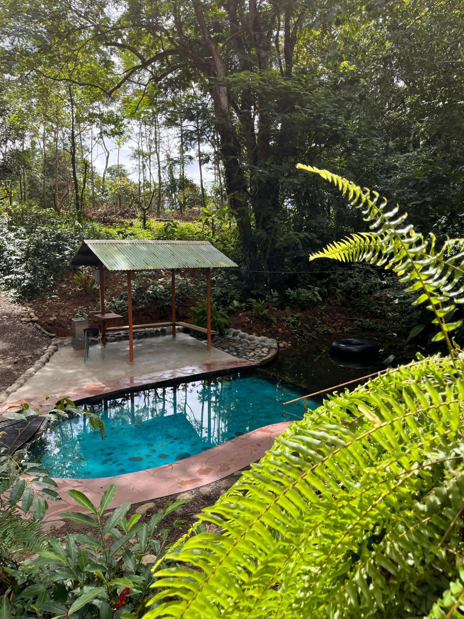 Gambas Lodge La Fortuna Exterior foto