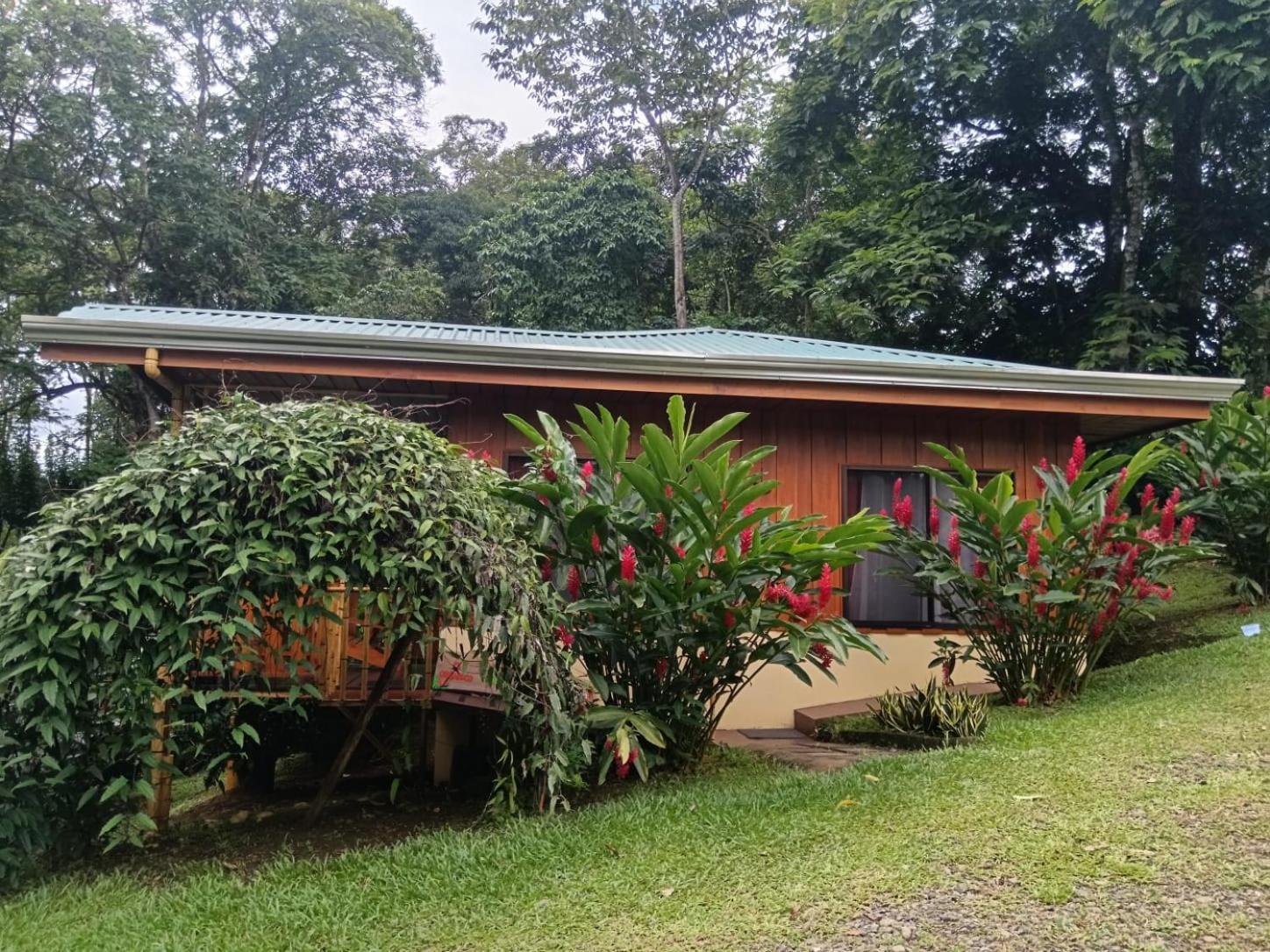 Gambas Lodge La Fortuna Exterior foto