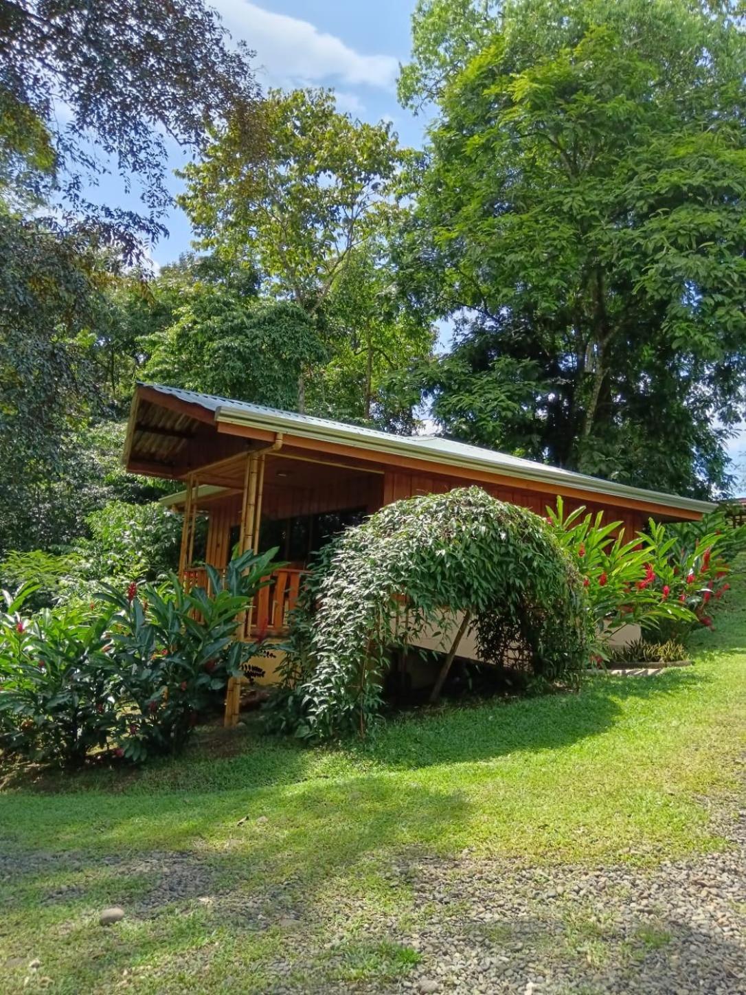 Gambas Lodge La Fortuna Exterior foto